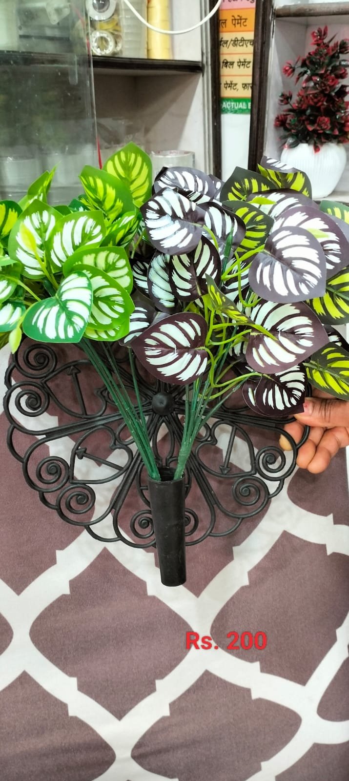 WhatsApp Image 2026-02-11 at 5.36.32 PM