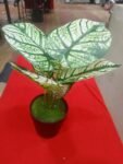 Artificial Plant Leaves With Pot