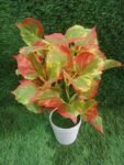 Artificial Multi Colour Leaf Plant With Pot